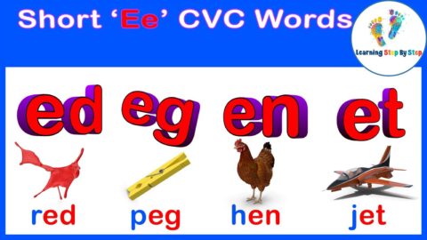 Learn to READ CVC Words | Short E Sound | Letter E Blending | Learning Step By Step
