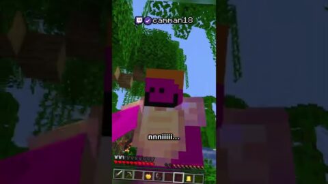 Minecraft, But I Can’t Use The Letter E
